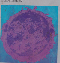 Image of Essential Immunology