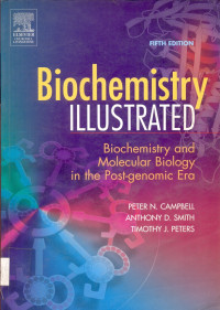 Image of Biochemistry Illustrated Biochemistry and Molecular Biology in the Post-genomic Era