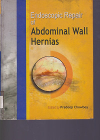 Image of Endoscopic Repair of Abdominal Wall Hernias