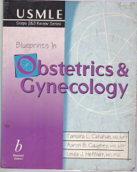 Image of Blueprints in obstetrics & gynecology.