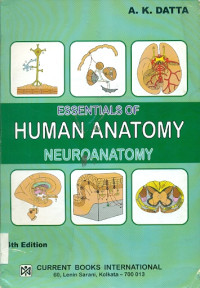 Image of ESSENTIALS OF HUMAN ANATOMY (NEUROANATOMY)
